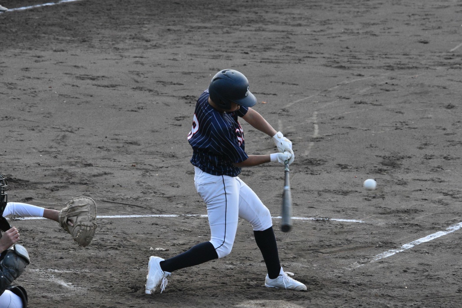 LINE_ALBUM_新20251124伯和招待vsさとやまシニア_251128_15