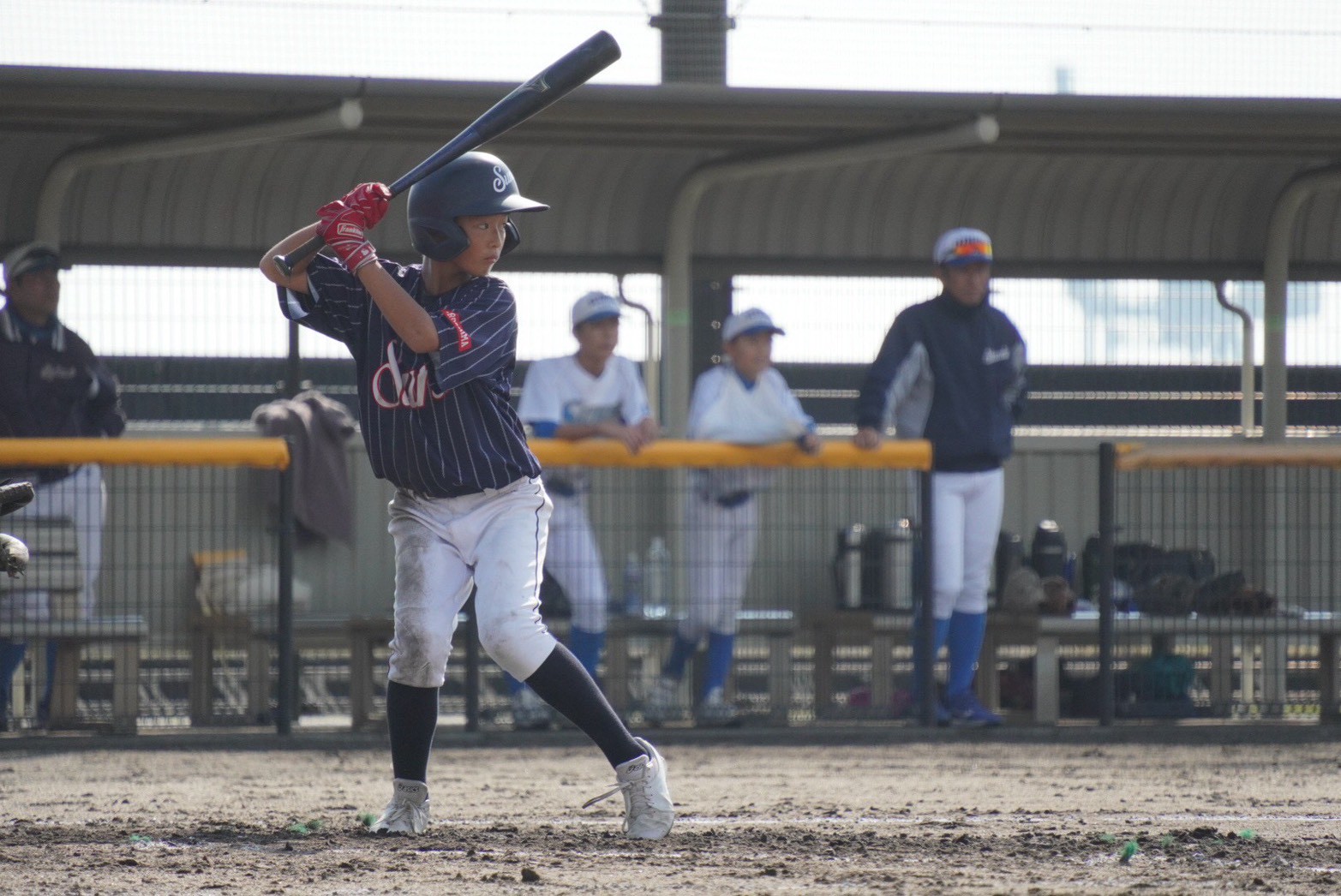 LINE_ALBUM_西部地区秋季野球大会高陽スカイバンズ戦_251104_12